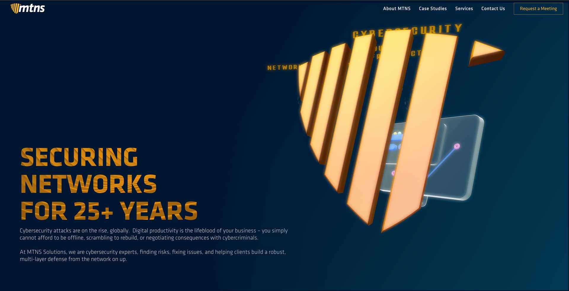 The MTNS Solutions website